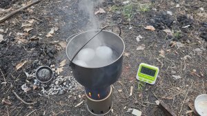 Щепочница Варю яйца