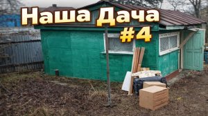 Впервые в жизни пересадила дерево. Многодетные.