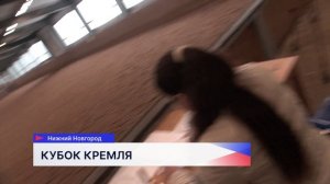 Зимний Кубок Нижегородского кремля по выездке стартовал в конно-спортивном клубе «Пассаж»