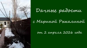 Дачные радости с Мариной Рыкалиной от 2 апреля 2026 года
