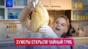 Бабушкин чайный гриб снова в тренде