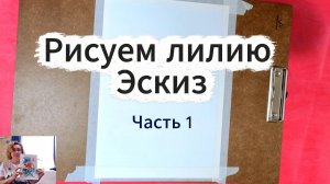 Карандашный рисунок лилии. Часть 1