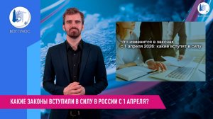 Какие законы вступили в силу в России с 1 апреля?