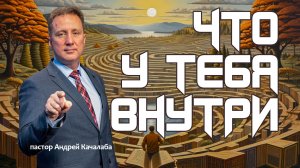 Что у тебя внутри