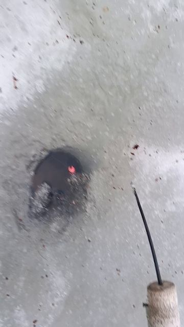 Окунь на мормыша последний лед