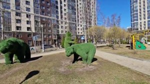 Ура зеленой красавице