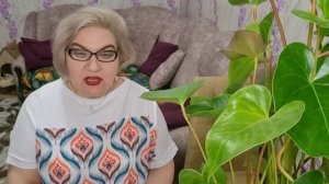 2 часть. Отдых для богатых❗️Куча, где МИЛЛИОНЫ❓️