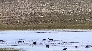 За неделю до открытия