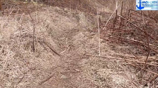 Тропа от улицы Железнодорожной через Крузенштерна на 60 лет Октября города Холмск