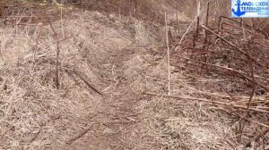 Тропа от улицы Железнодорожной через Крузенштерна на 60 лет Октября города Холмск