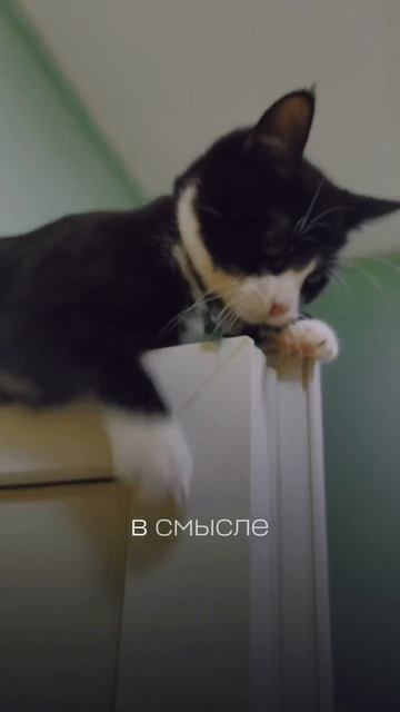 🖤🤍Я — Манеки