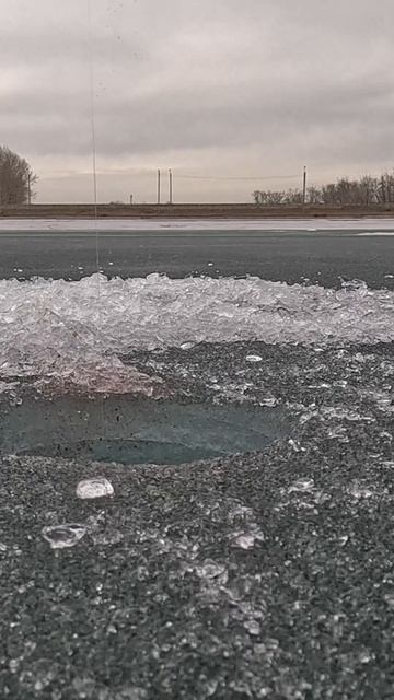 Весна. Клюёт. Размер не тот... #рыбалка2026