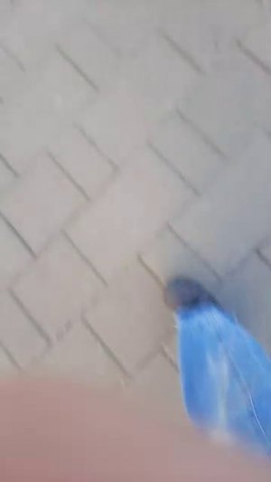 Иду к другу