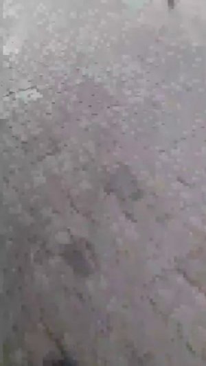 я посадить свою клубничку.