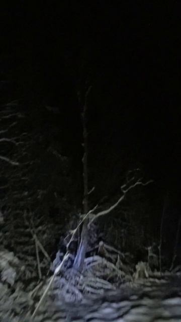 Слуд, снег, канавы. Тесты в реальных условиях / Снегоход Сталкер