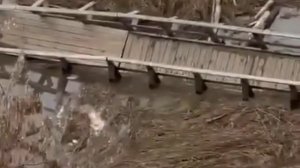 В Суздале из-за разлива реки Каменки смыло мост. Его унесло по течению. 

До этого паводок ...