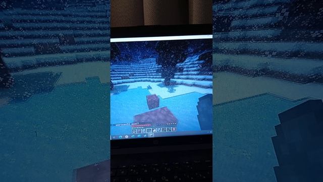 играем в графическом сервере