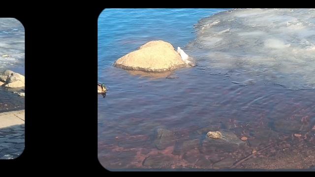 #шортс #shorts.