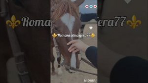 👑💫Новая песня 💫👑⚜️2026⚜️Be dill⚜️ Для души 🫶 ашунэнти пэ зорэс 🎵🎤🗣️🫶 Не забудьте подписатьс