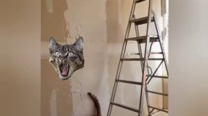 Доброе утро и позитивного дня! Юмор. Yura0_001❤😂😁