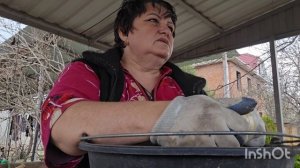 3.4 26.вдог...кочкам похоже зря просидела🤫.собираюсь на рынок