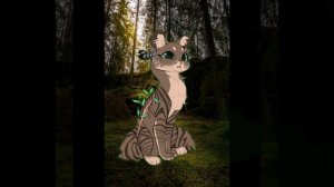 реакция на ~🐱🧶Kloko🧶🐱~ (ВПЕЧАТЛИТЕЛЬНЫЕ УЙДИТЕ)