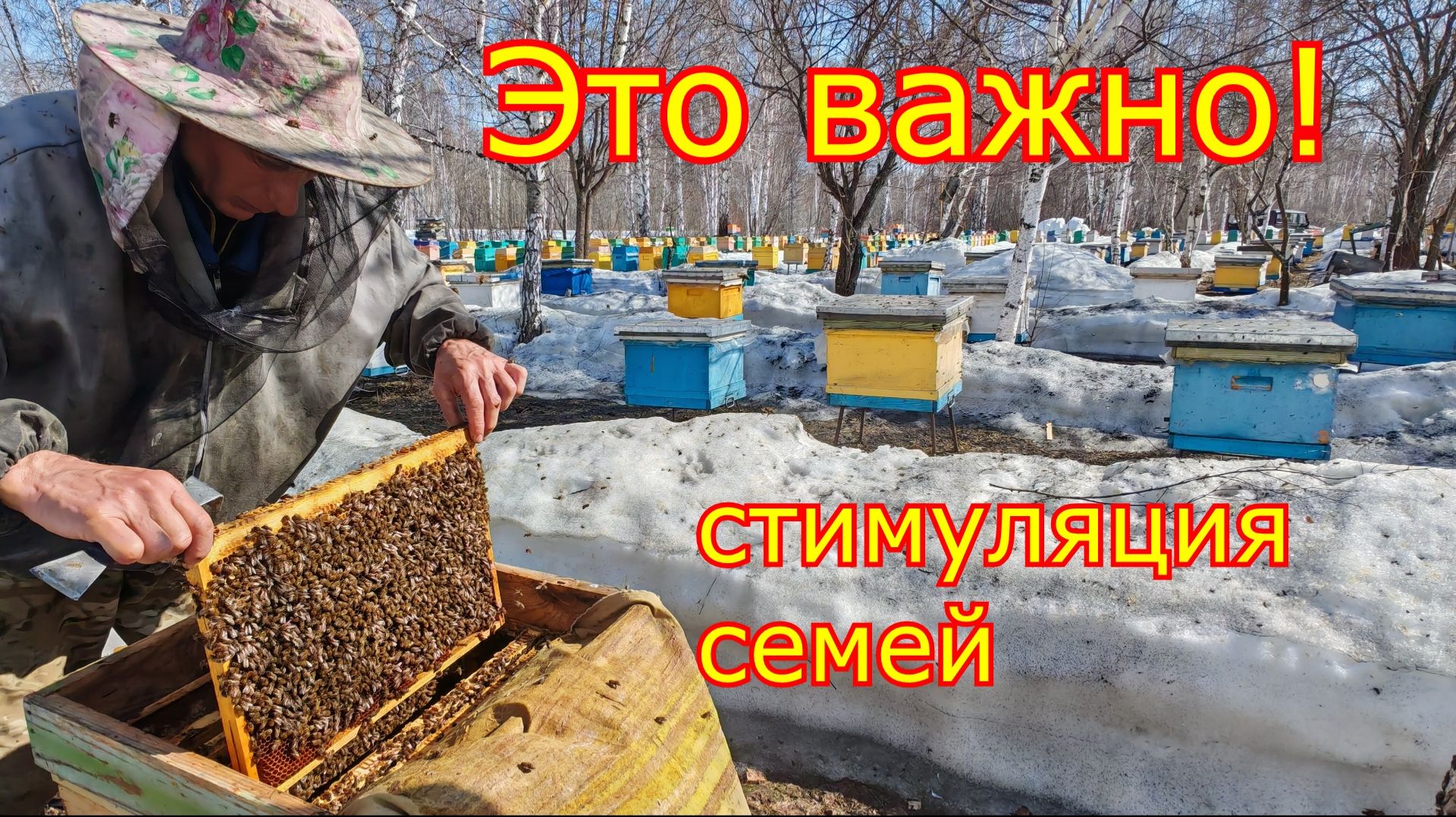 ЭТО ВАЖНО ВЕСНОЙ! Стимуляция пчелосемей! Первые весенние работы!