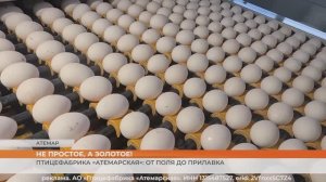 Птицефабрика «Атемарская»: от поля до прилавка