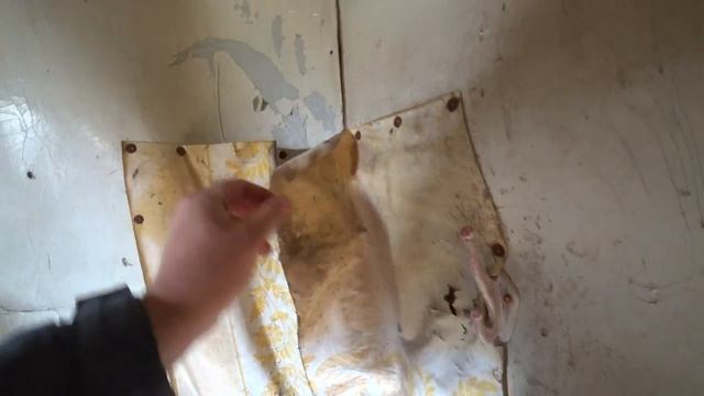 В ЭТОТ дом никто не заходил 20 лет. Когда заглянул внутрь то не поверил глазам  люди рубили порог