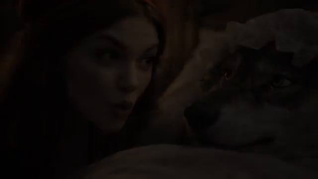 AnnReya - ОН ВЫБРАЛ НЕ ТУ ШАПКУ_ Красная Шапка Тёмная сказка