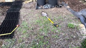 320. Революция в саду, как сейчас выглядит мой сад и что предстоит.