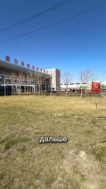 ✅ По вопросам подбора авто, привоза авто из-за рубежа или услугам нашего СТО: