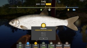 ЕЛЕЦ ТРОФЕЙНЫЙ!!!РЕКА ВЬЮНОК - РУССКАЯ РЫБАЛКА 4