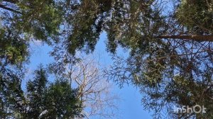 "Ну какова красота"