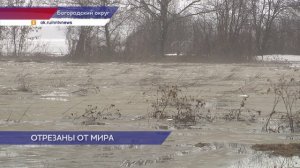 Единственная дорога в деревню Еловицы Богородского округа оказалась под водой
