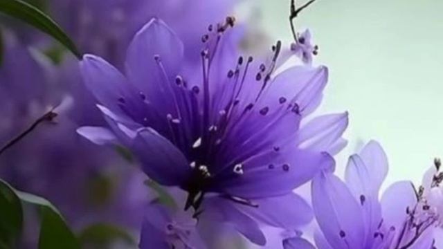 М.859)) Источник радости. Пс 33:5.