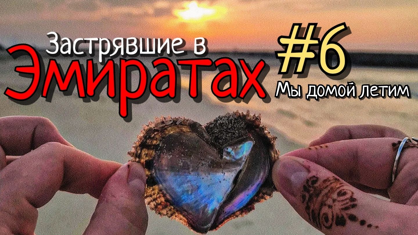 Застрявшие в Эмиратах #6 / мы домой летим, наверное