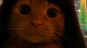 смотрю ШОРТС заходи вместе посмеёмся