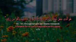 Сура:67 Аль-Мульк(Власть). Чтец: Умар Сильдинский
