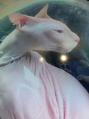 Minecraft продолжается