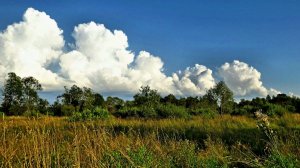 По полям, по долам...