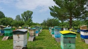Пчеловодство № 120 Моменты 2021года, что было ещё интересного