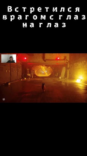 Встретился с врагом с глазу на глаз  #прохождение #stray