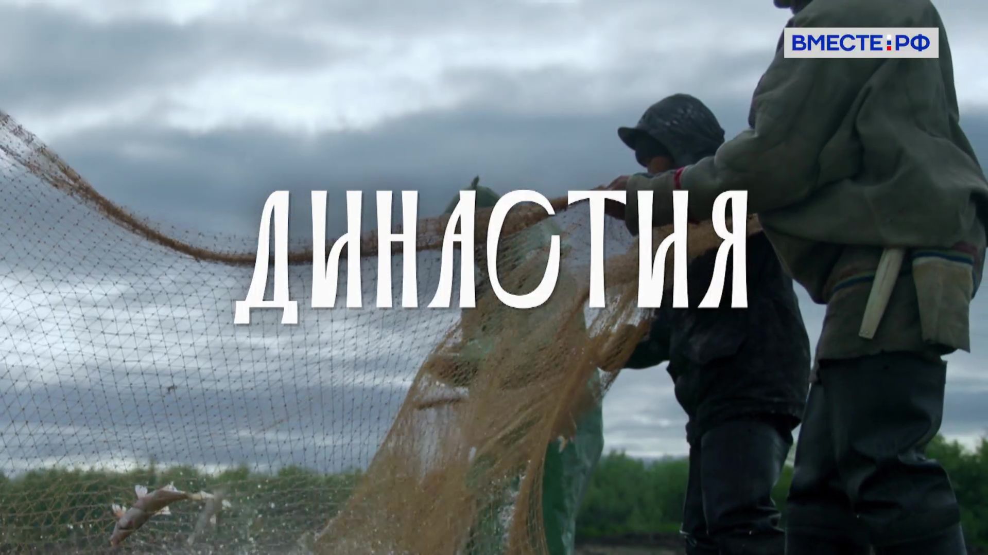 Династия. Салиндеры