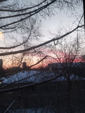 сижу и пАхАю