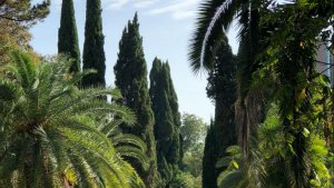 Сочи в марте!