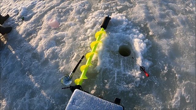 ТОЧКА ЛОВА. Нашли сорогу всё таки...