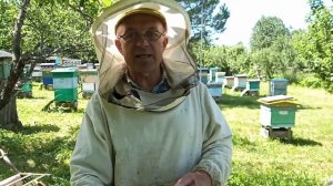 Пчеловодство №82 Как увеличить поголовье пчел. Делаем Нуклеус