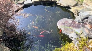 323. А Джонатан все-таки был прав!