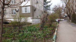 Новочеркасск.3 апреля 2026 (Часть 4)